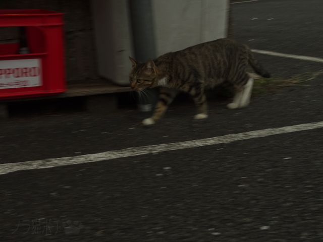 DSC01119.jpg