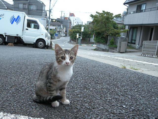 DSCN0031.jpg