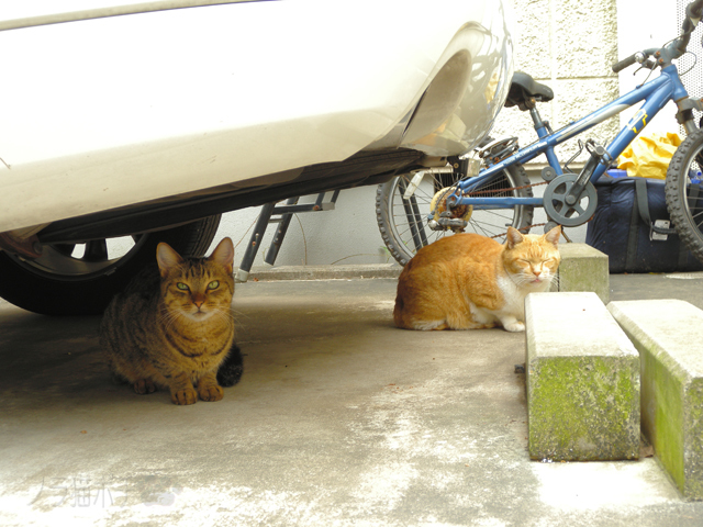 DSCN2091.jpg
