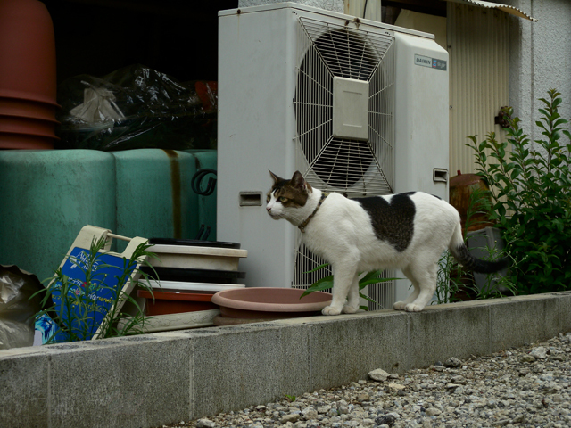 DSCN4705.jpg