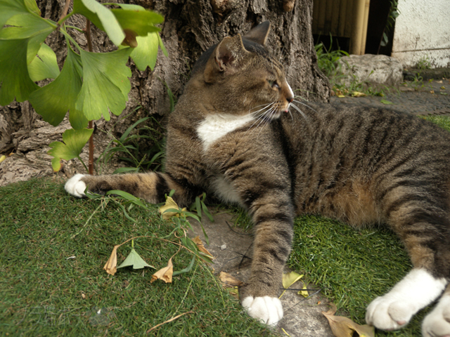 DSCN9292.jpg