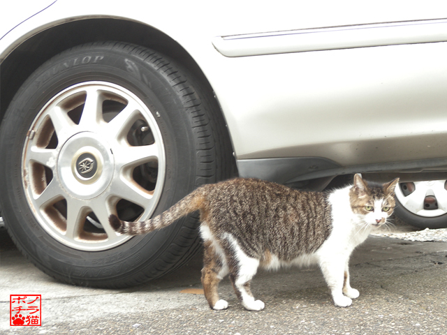 DSCN9299.jpg