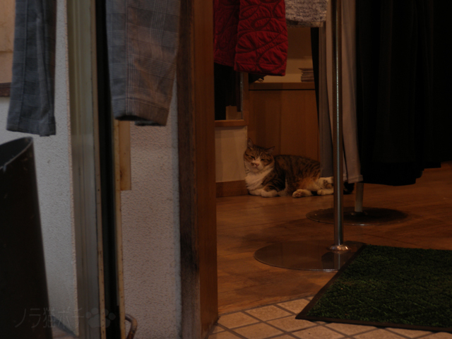DSCN9355.jpg
