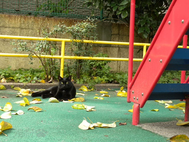 DSCN9360.jpg