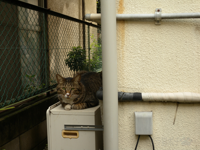 DSCN9362_2.jpg