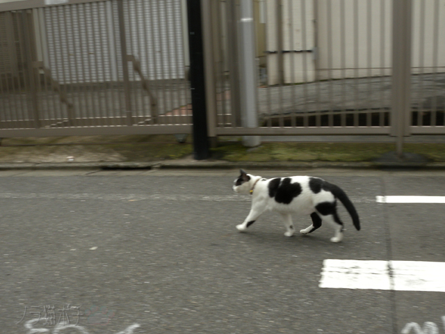 DSCN9365_2.jpg