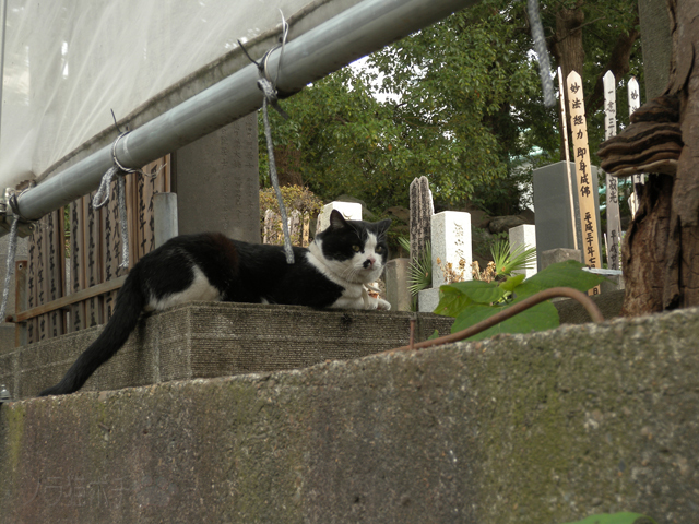 DSCN9418.jpg