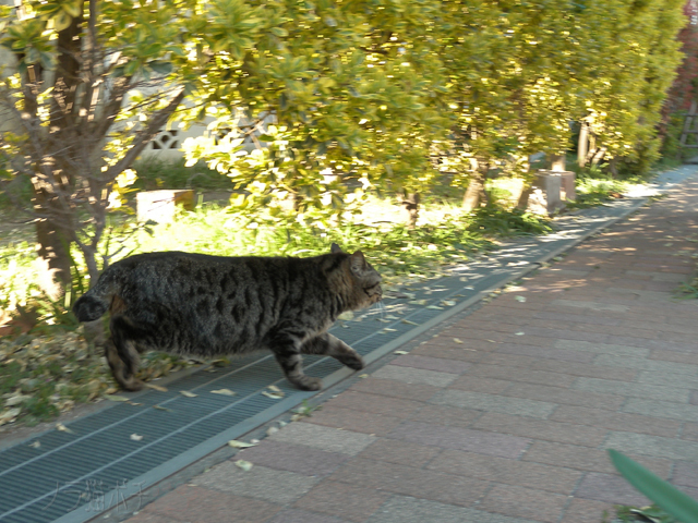 DSCN9448.jpg