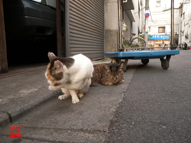 DSCN9647.jpg
