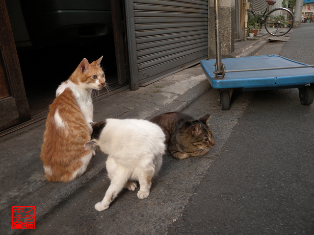 DSCN9669.jpg
