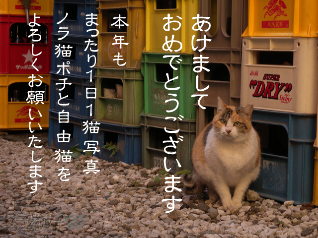 2013年賀.jpg