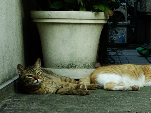 DSC00223.jpg