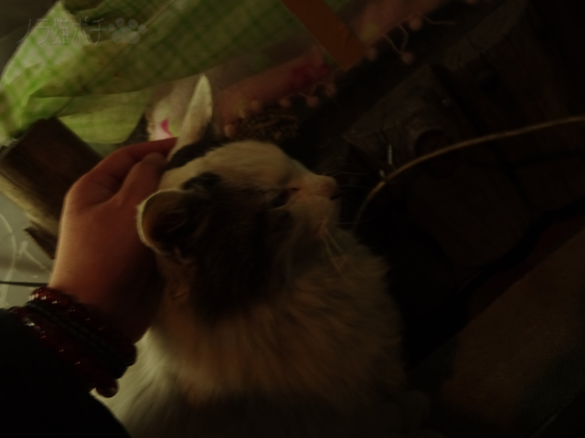 DSC00764.jpg