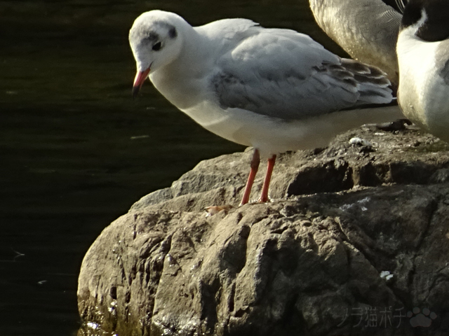 DSC00795_2.jpg