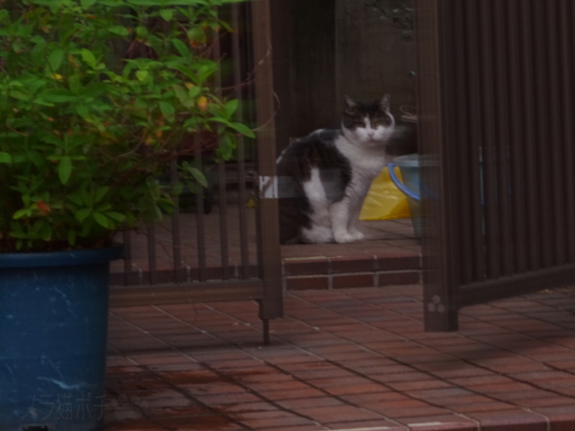 DSC00934.jpg