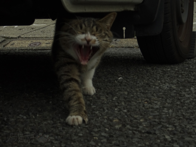DSC01122.jpg