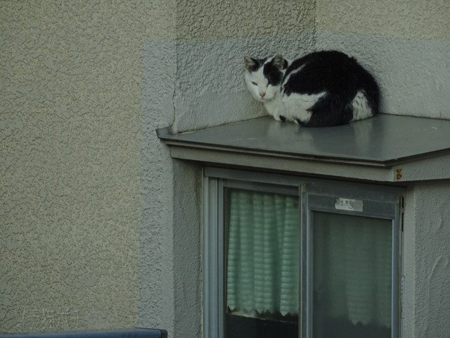 DSC01199.jpg