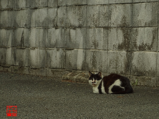 DSC01259.jpg
