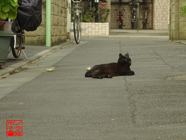 DSC01271.jpg