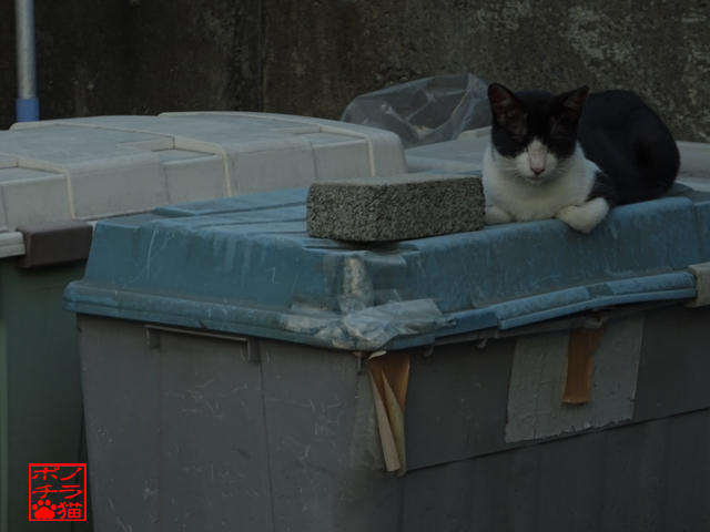 DSC01302.jpg