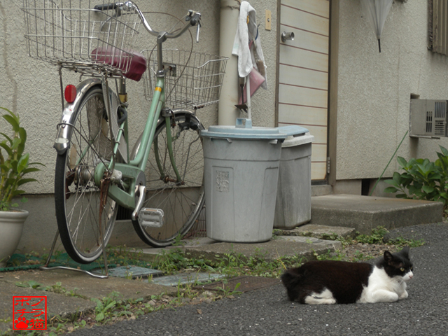 DSCN0004.jpg