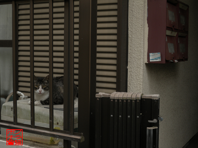 DSCN0007.jpg