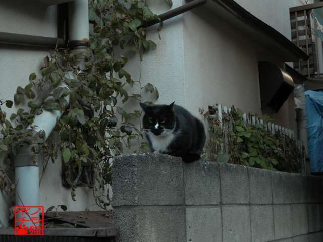 DSCN0010.jpg
