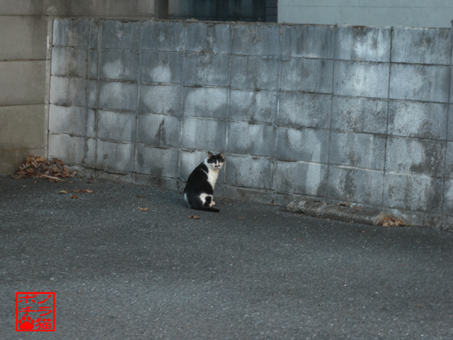 DSCN0013.jpg