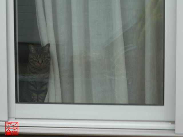 DSCN0015.jpg