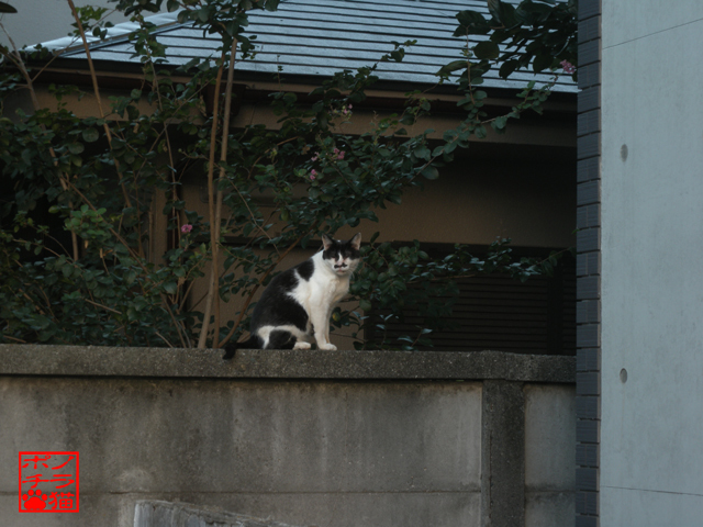 DSCN0016.jpg
