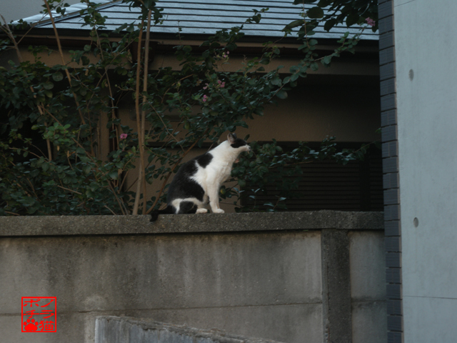 DSCN0017_2.jpg