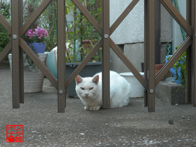 DSCN0019.jpg