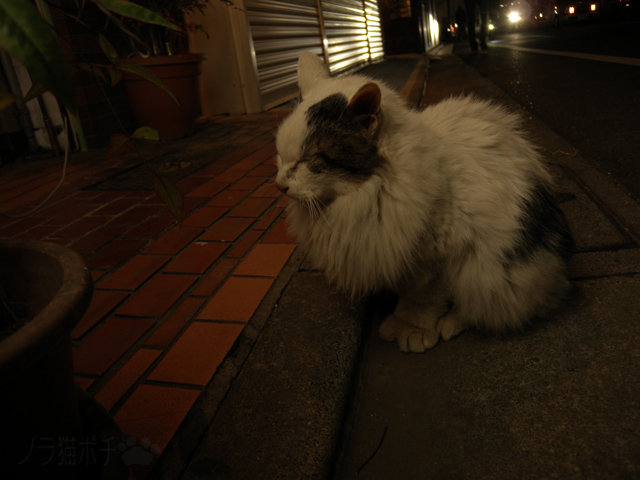 DSCN0023.jpg