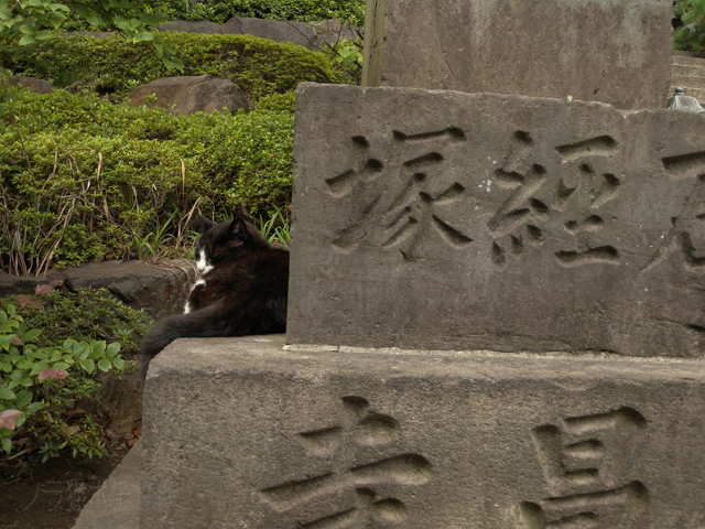 DSCN0024.jpg