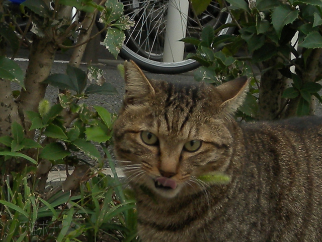 DSCN0025.jpg