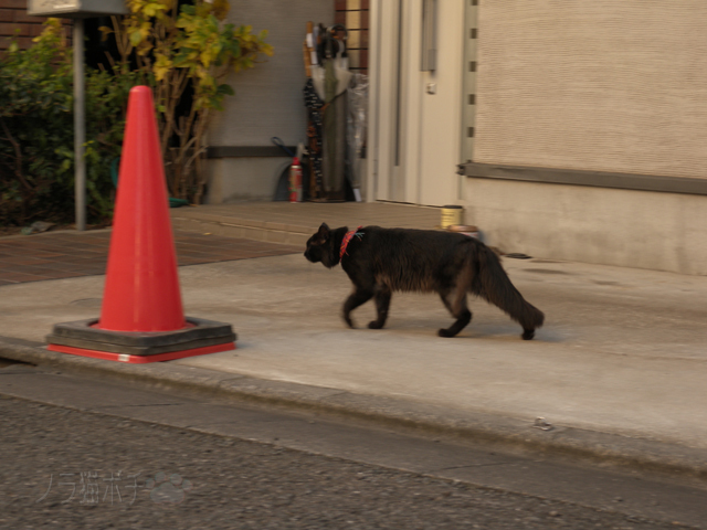DSCN0026.jpg