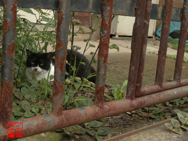 DSCN0027.jpg