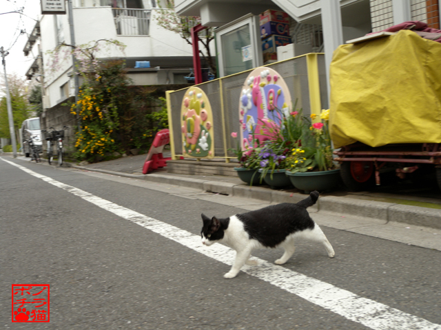 DSCN0036.jpg