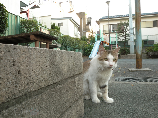 DSCN0038.jpg