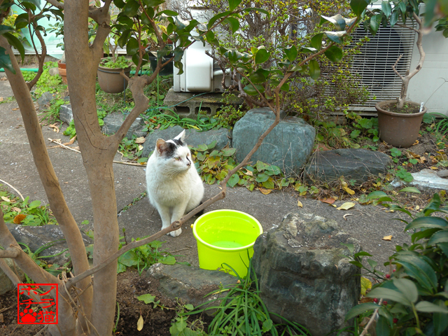 DSCN0039.jpg
