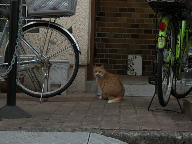 DSCN0042.jpg