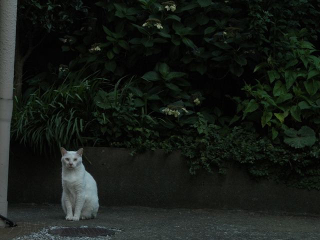 DSCN0042.jpg
