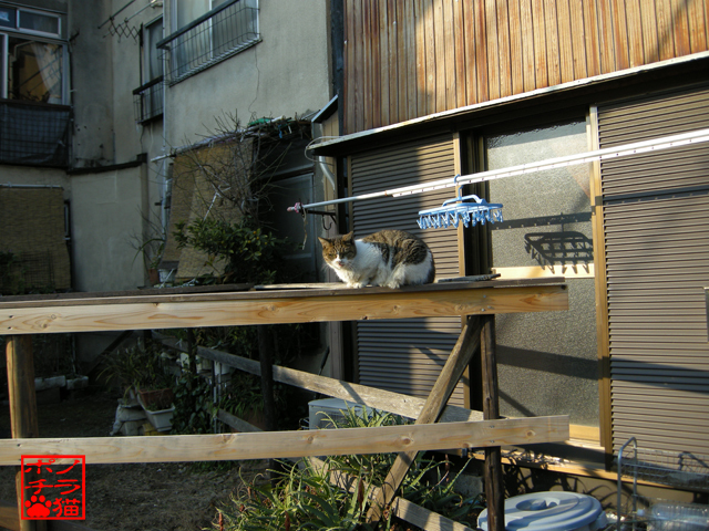 DSCN0061.jpg