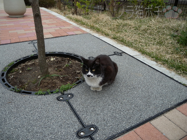 DSCN0062.jpg