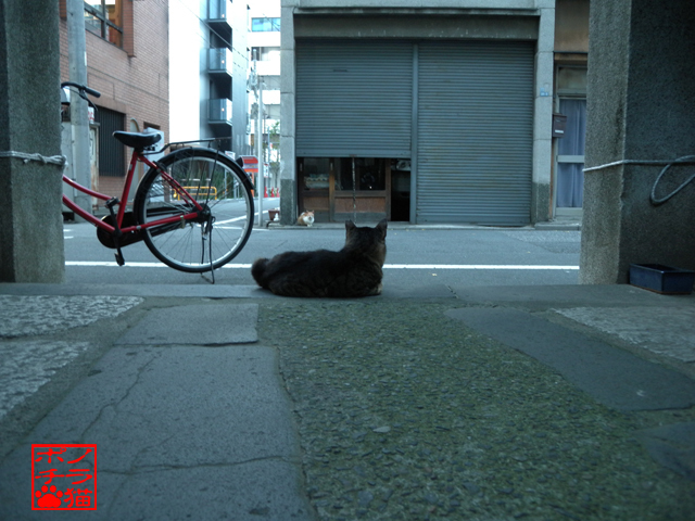DSCN0062.jpg