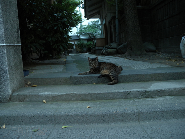 DSCN0064.jpg