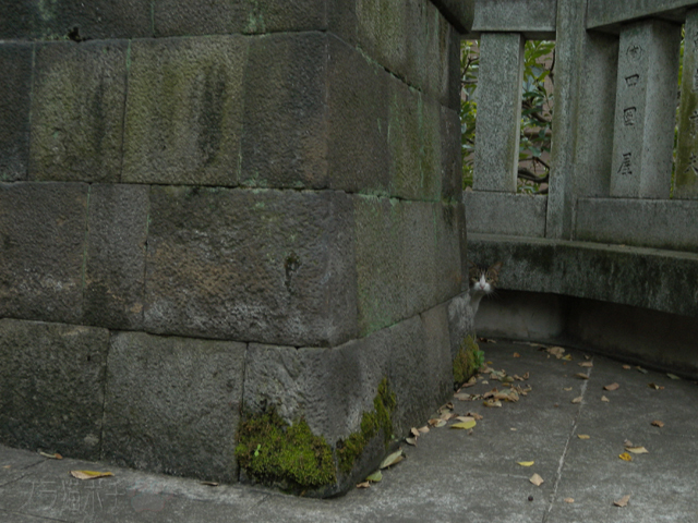 DSCN0064.jpg