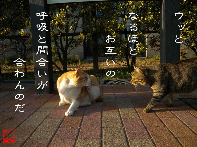 DSCN0065_1.jpg