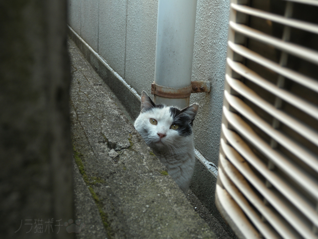 DSCN0083.jpg