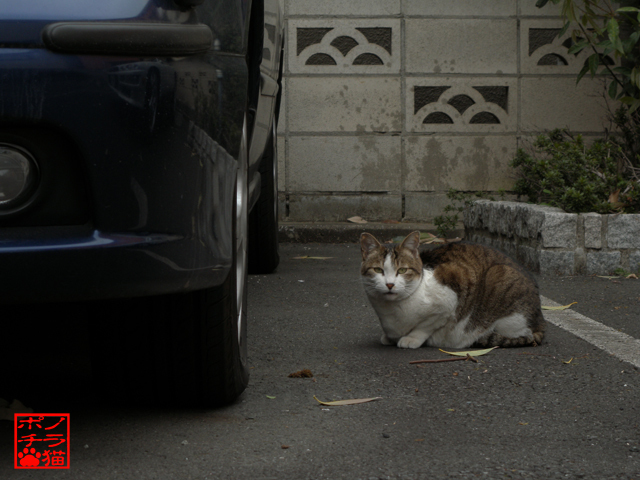 DSCN0103.jpg